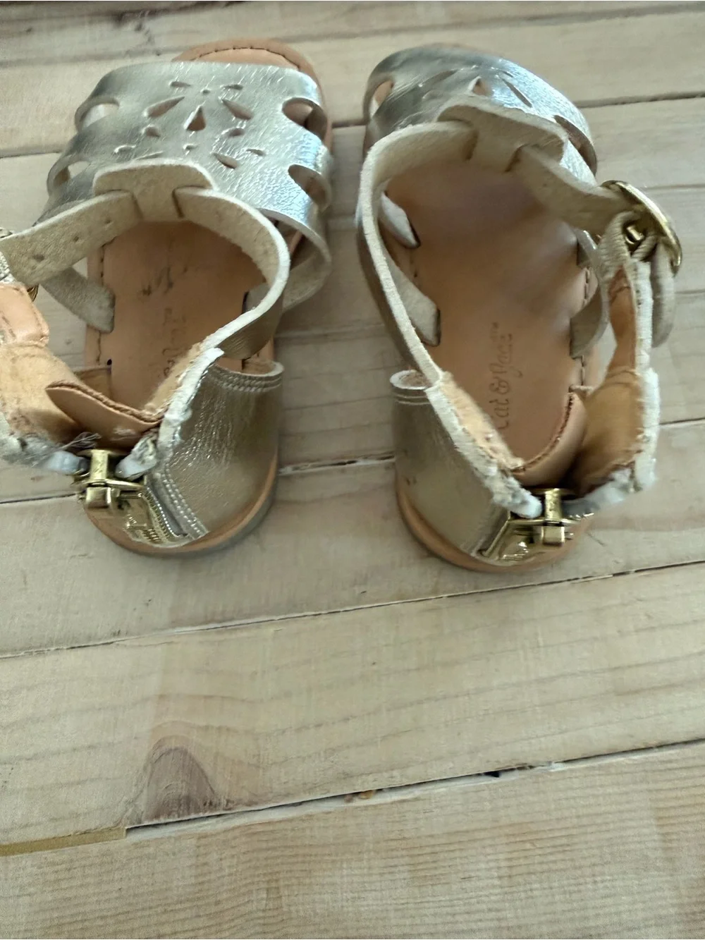Cat & Jack Metallic Gold Gladiator Kids Sandals